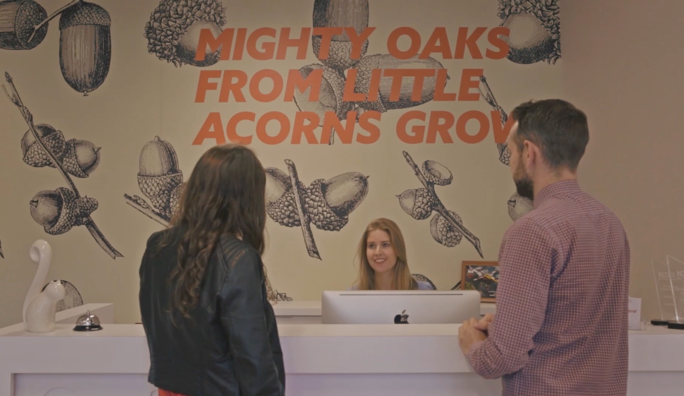 Squirrel TVNZ Pre-Roll